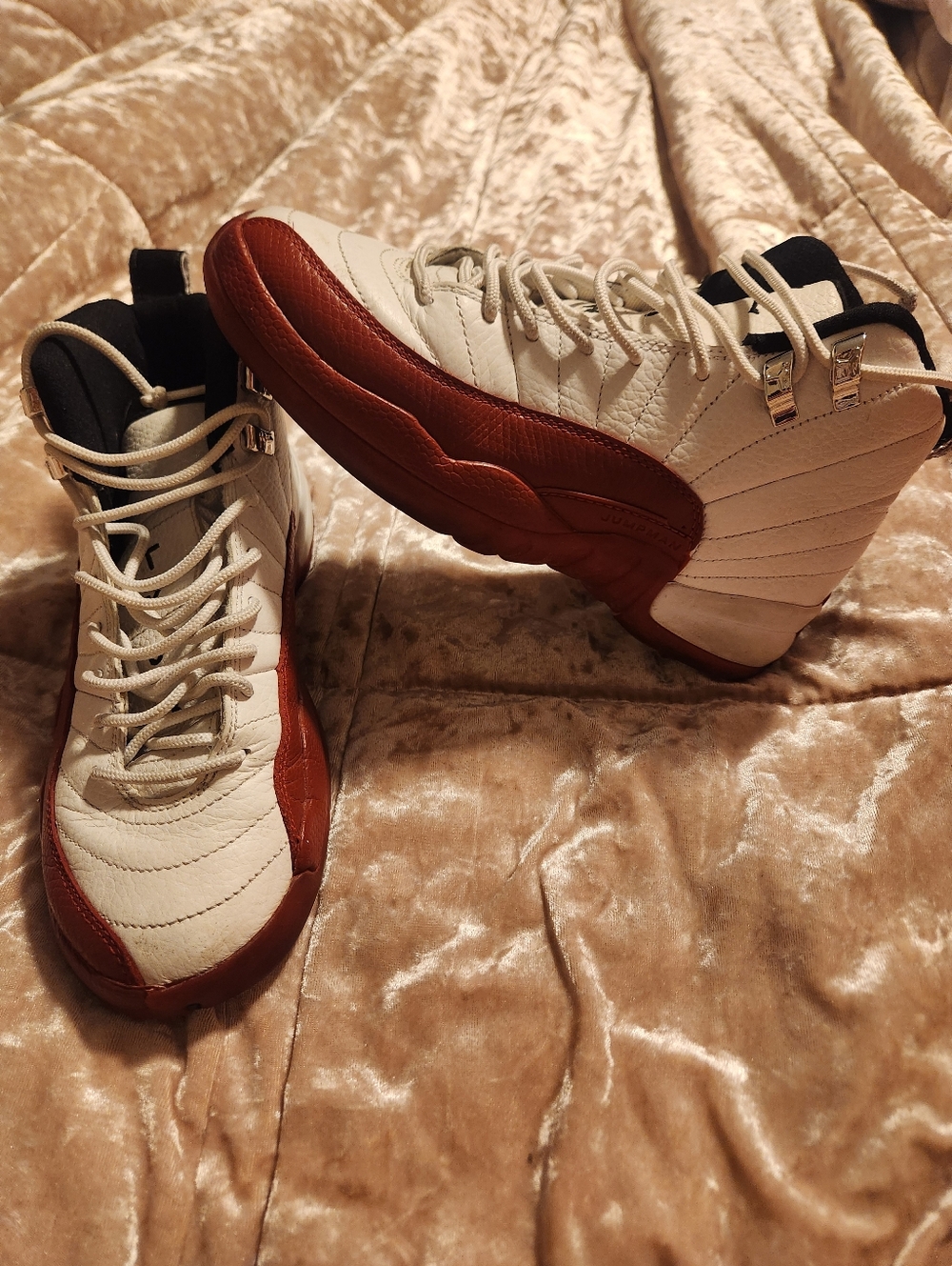 Nike Air Jordan 12